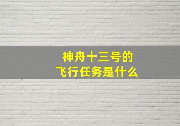 神舟十三号的飞行任务是什么