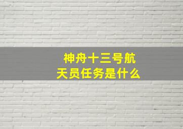 神舟十三号航天员任务是什么