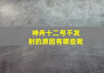 神舟十二号不发射的原因有哪些呢