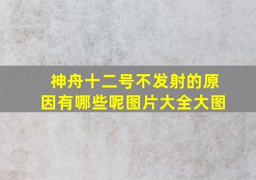 神舟十二号不发射的原因有哪些呢图片大全大图