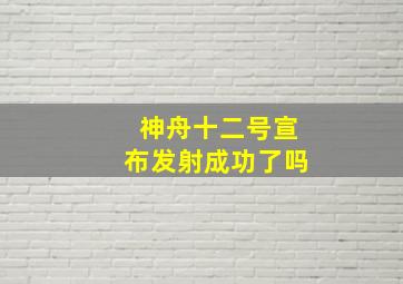 神舟十二号宣布发射成功了吗