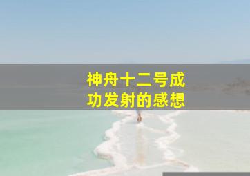 神舟十二号成功发射的感想