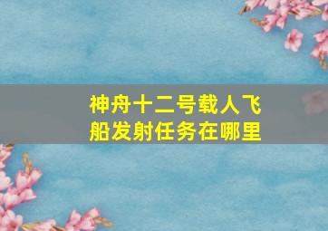 神舟十二号载人飞船发射任务在哪里