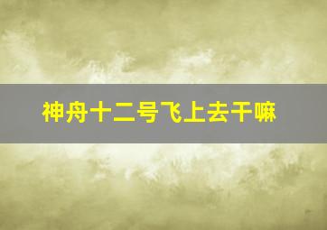 神舟十二号飞上去干嘛