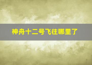 神舟十二号飞往哪里了