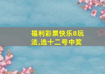 福利彩票快乐8玩法,选十二号中奖