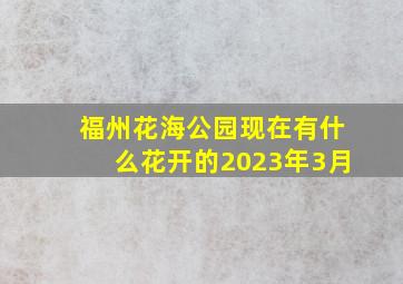 福州花海公园现在有什么花开的2023年3月