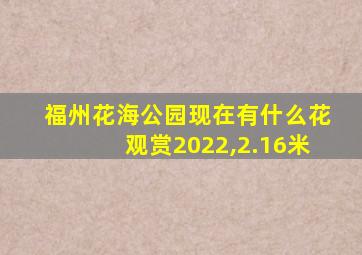 福州花海公园现在有什么花观赏2022,2.16米