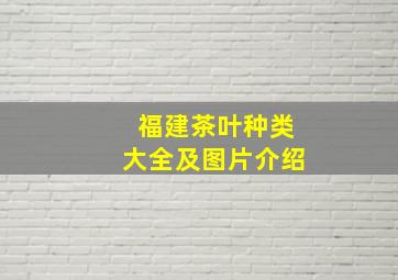 福建茶叶种类大全及图片介绍