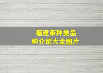 福建茶种类品种介绍大全图片