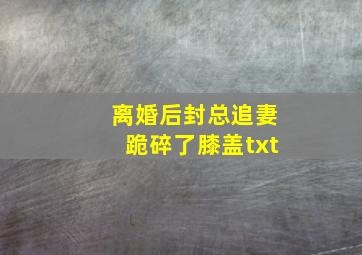 离婚后封总追妻跪碎了膝盖txt