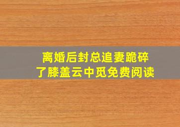 离婚后封总追妻跪碎了膝盖云中觅免费阅读