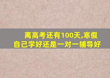 离高考还有100天,寒假自己学好还是一对一辅导好