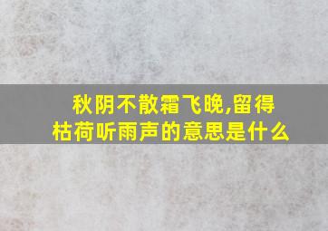 秋阴不散霜飞晚,留得枯荷听雨声的意思是什么