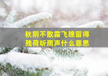 秋阴不散霜飞晚留得残荷听雨声什么意思