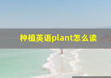 种植英语plant怎么读