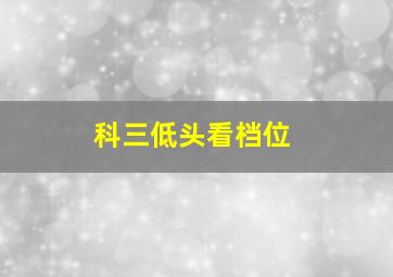 科三低头看档位