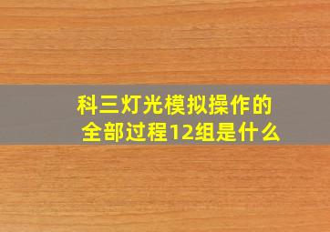 科三灯光模拟操作的全部过程12组是什么