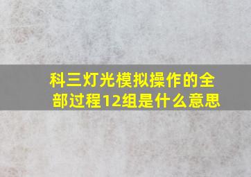 科三灯光模拟操作的全部过程12组是什么意思