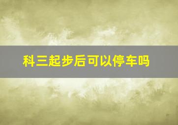 科三起步后可以停车吗