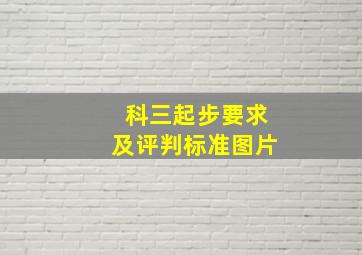 科三起步要求及评判标准图片