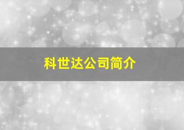 科世达公司简介