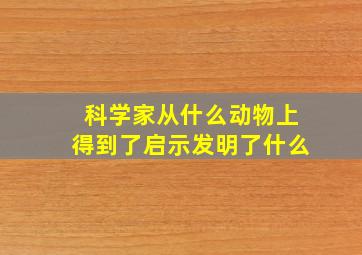 科学家从什么动物上得到了启示发明了什么