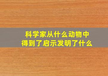 科学家从什么动物中得到了启示发明了什么