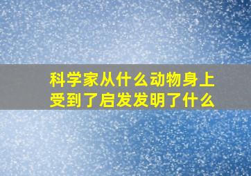 科学家从什么动物身上受到了启发发明了什么