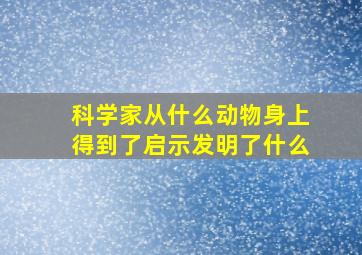 科学家从什么动物身上得到了启示发明了什么