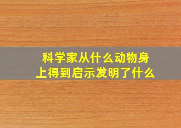 科学家从什么动物身上得到启示发明了什么