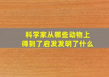 科学家从哪些动物上得到了启发发明了什么