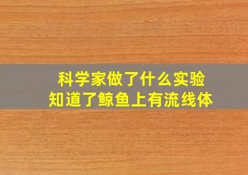 科学家做了什么实验知道了鲸鱼上有流线体