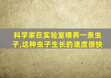 科学家在实验室喂养一条虫子,这种虫子生长的速度很快