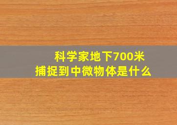 科学家地下700米捕捉到中微物体是什么