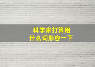 科学家打算用什么词形容一下