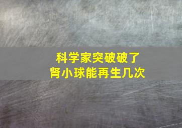 科学家突破破了肾小球能再生几次