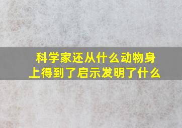 科学家还从什么动物身上得到了启示发明了什么