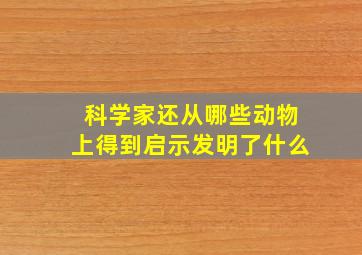 科学家还从哪些动物上得到启示发明了什么