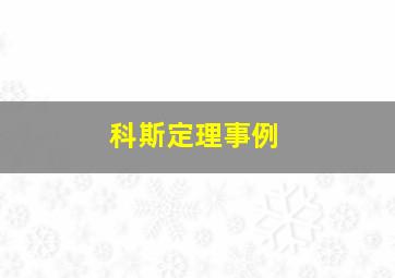 科斯定理事例