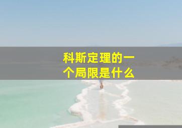 科斯定理的一个局限是什么