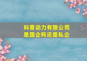 科普动力有限公司是国企吗还是私企