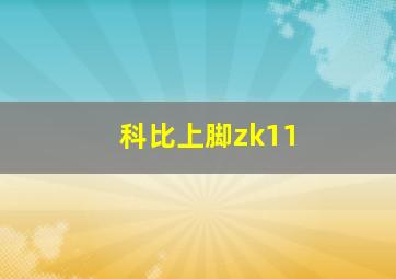 科比上脚zk11