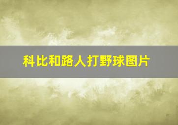 科比和路人打野球图片