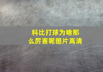 科比打球为啥那么厉害呢图片高清