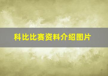 科比比赛资料介绍图片