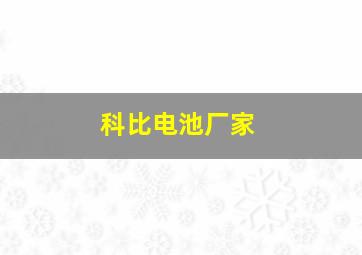 科比电池厂家