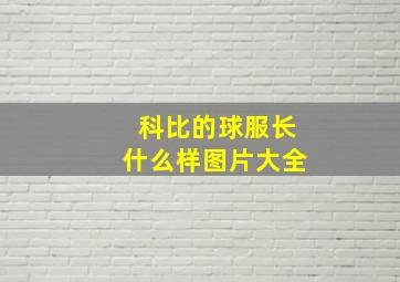 科比的球服长什么样图片大全