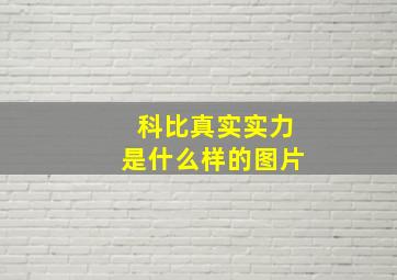 科比真实实力是什么样的图片