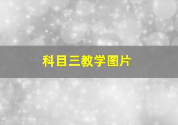 科目三教学图片